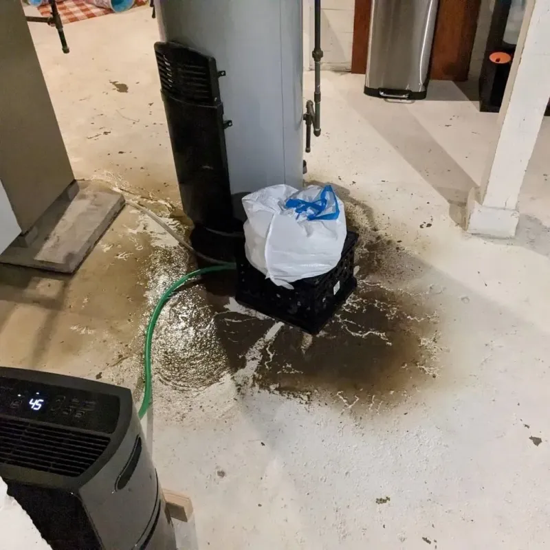 Sewage Backup Cleanup Service in Catlettsburg, KY
